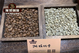 Arabica阿拉比卡精品咖啡豆选购推荐｜阿拉比卡单品咖啡豆适合做什么咖啡？