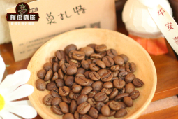 冰萃咖啡介绍｜冰滴咖啡与冷萃咖啡萃取原理一样吗？好喝实惠适合新手的精品冰滴咖啡豆有哪些推荐？