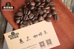 咖啡品种｜卡杜拉为何被叫做“暴晒咖啡”？卡杜拉咖啡冲煮后呈现哪些风味？卡杜拉咖啡的优缺点是什么？