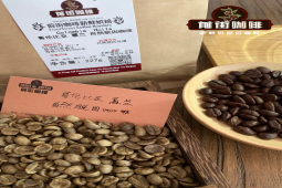 瑞士水脱因处理法｜哥伦比亚低因咖啡做手冲黑咖啡是什么风味口感？低咖啡因精品手冲咖啡豆推荐