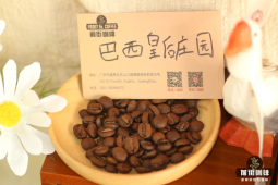 家用美式咖啡豆｜做美式为什么都用深烘豆？5款高口碑好喝实惠的中深烘焙意式拼配咖啡豆推荐