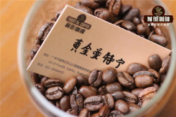 摩卡壶新手入门必看｜比乐蒂摩卡壶怎么选豆？3款高成功率好喝不贵的摩卡壶用的优质咖啡豆推荐