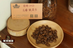 云南小粒咖啡豆卡蒂姆和铁皮卡｜卡蒂姆品种是阿拉比卡还是罗布斯塔？云南卡蒂姆咖啡具有哪些风味特点？