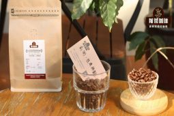 家用豆选购指南｜新手入门手冲买咖啡豆还是咖啡粉？高性价比的浅中深烘焙精选手冲咖啡豆有哪些推荐？