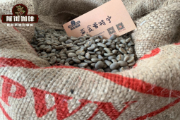 亚洲咖啡单品豆推荐｜pwn黄金曼特宁是档次最好的印尼精品咖啡吗？黄金曼特宁咖啡等级品风味冲泡方式介绍