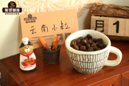 咖啡豆三大产区介绍｜拉丁美洲非洲亚洲咖啡风味特色是什么？资深咖啡爱好者选择的精品手冲豆推荐