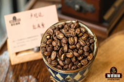 精选单品豆种类｜做手冲冷萃冰滴要用哪类咖啡豆？酸质明亮和口感醇厚的精品咖啡代表是什么？ 